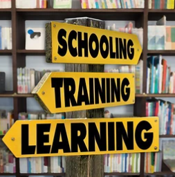 拼多多单品运营课，从下载工具到选品推广，权重提升、流量布局，新手起步盈利