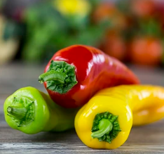 SEO站群系统源码 免授权版 单页关键词排名网站源码