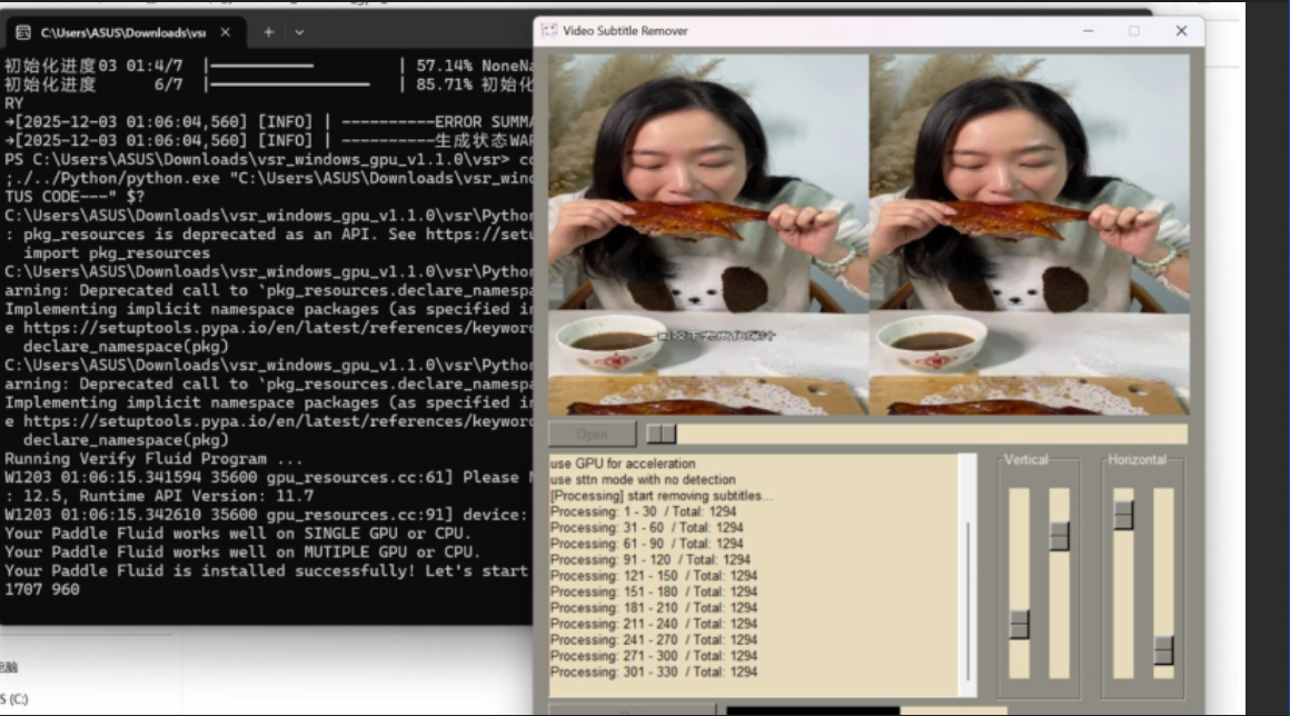 视频硬字幕去消除软件
